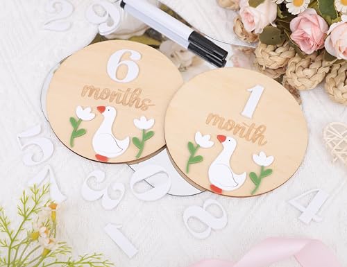 LINLULU Funny Goose Monthly Milestone Board 1