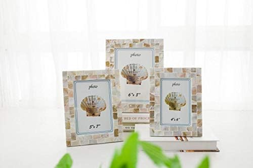 Classic Shell Photo Frame 6 Inch Handmade