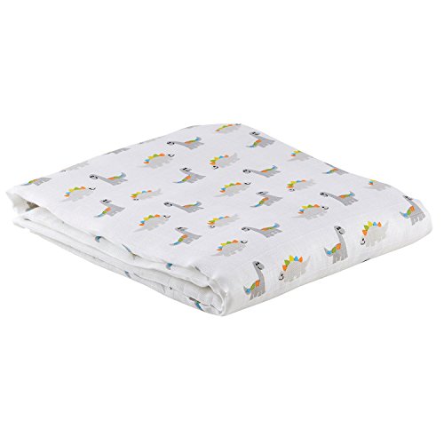 Stephan Baby Dinosaurs Swaddle Blanket 45 x 45