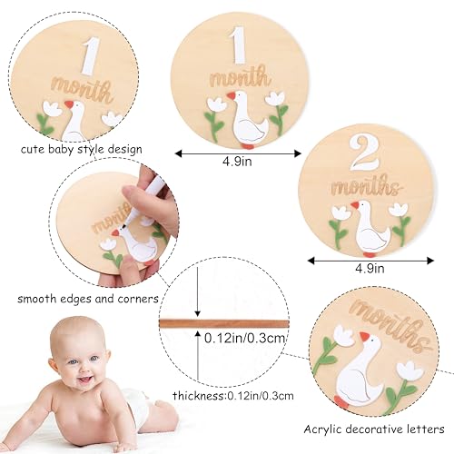 LINLULU Funny Goose Monthly Milestone Board 1