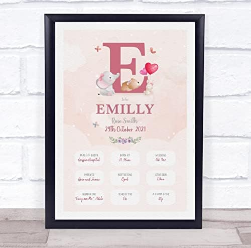 New Baby Birth Details Christening Keepsake Frame Print 1