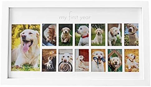 Green Pollywog First Year Dog Photo Frame 12-Month Keepsake Display White Wood Frame