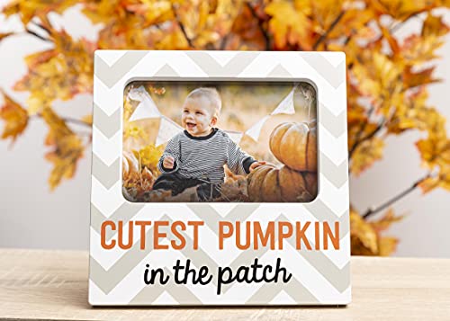 Kate Milo Baby Halloween Photo Frame Set