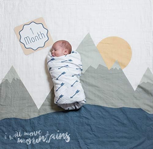 Lulujo Baby Milestone Blanket and Cards Set