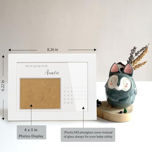 HamIUers Pregnancy Announcement Frame for Aunt 1