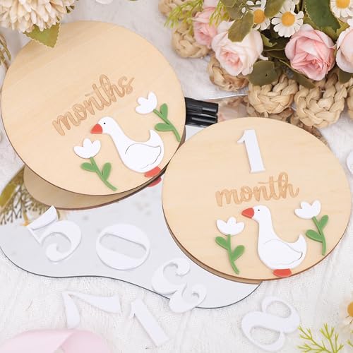 LINLULU Funny Goose Monthly Milestone Board 1