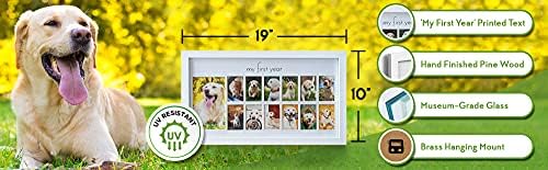 Green Pollywog First Year Dog Photo Frame 12-Month Keepsake Display White Wood Frame