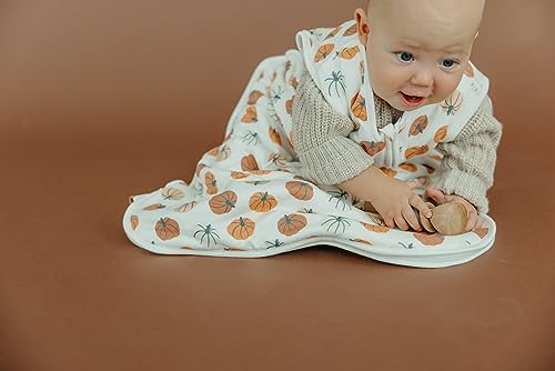 Copper Pearl Sleep Sack 0-24M Warm Cozy Trendy Design