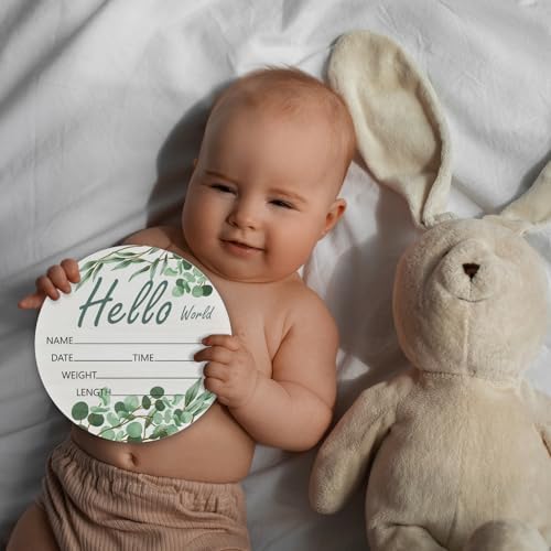 Hello World Olive Branch Newborn Sign - 6 Inch Round Birch Wood Baby Name Plaque