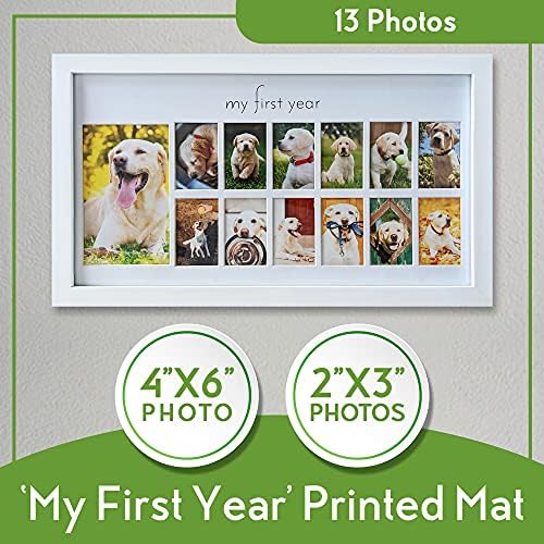Green Pollywog First Year Dog Photo Frame 12-Month Keepsake Display White Wood Frame