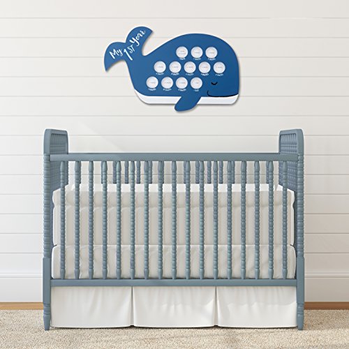 Baby Aspen My First Year Whale Timeline Frame 1