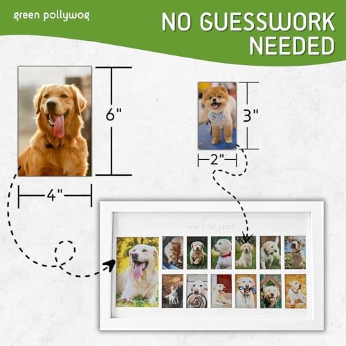 Green Pollywog First Year Dog Photo Frame 12-Month Keepsake Display White Wood Frame