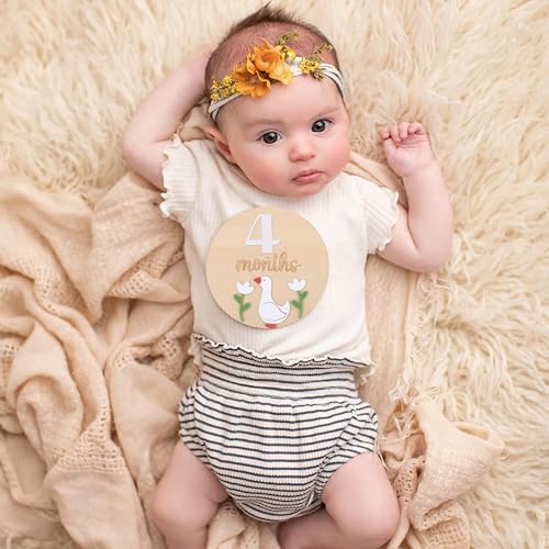 LINLULU Funny Goose Monthly Milestone Board 1
