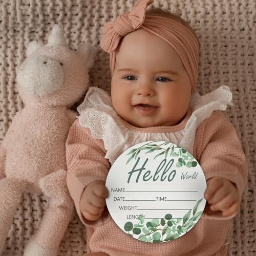 Hello World Olive Branch Newborn Sign - 6 Inch Round Birch Wood Baby Name Plaque