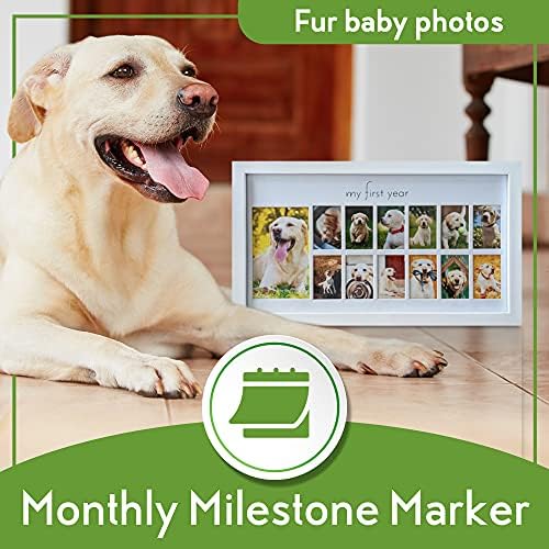 Green Pollywog First Year Dog Photo Frame 12-Month Keepsake Display White Wood Frame