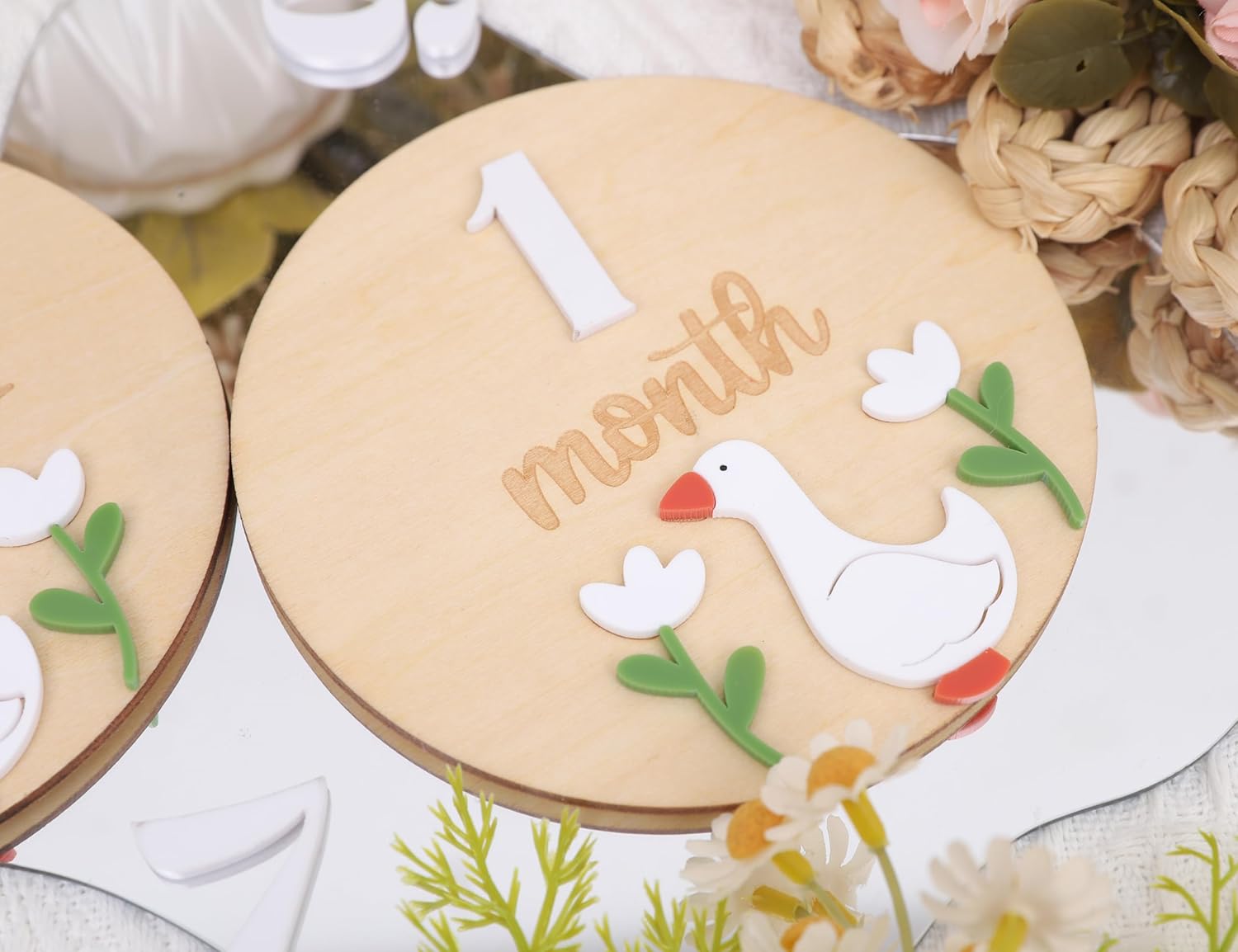 LINLULU Funny Goose Monthly Milestone Board 1