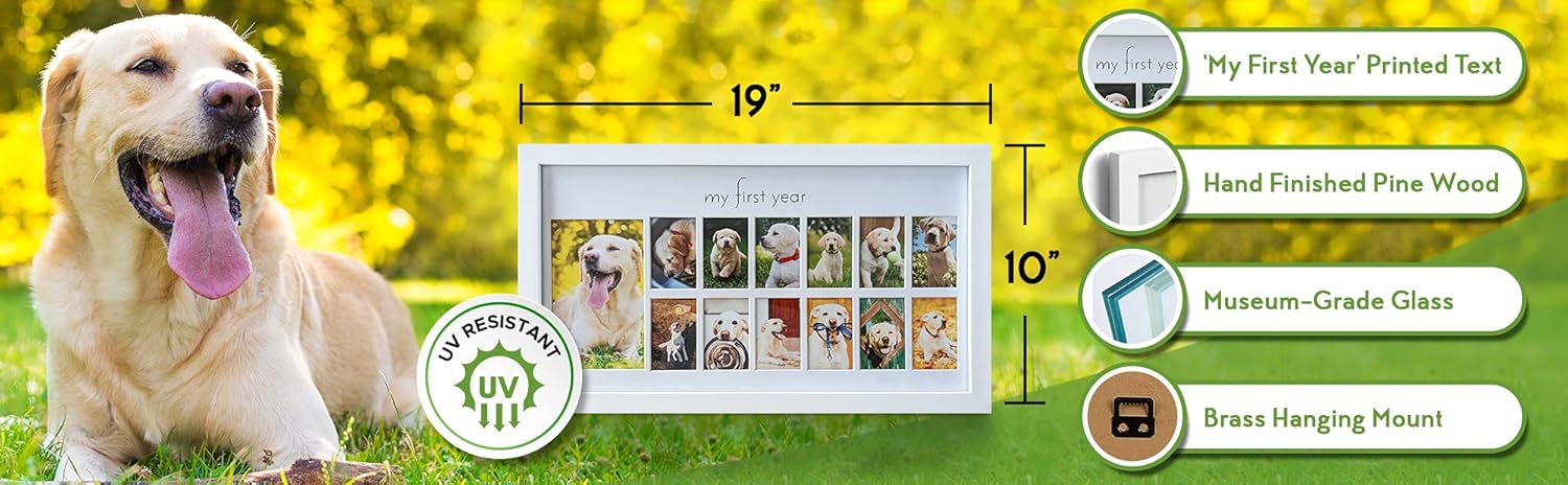 Green Pollywog First Year Dog Photo Frame 12-Month Keepsake Display White Wood Frame