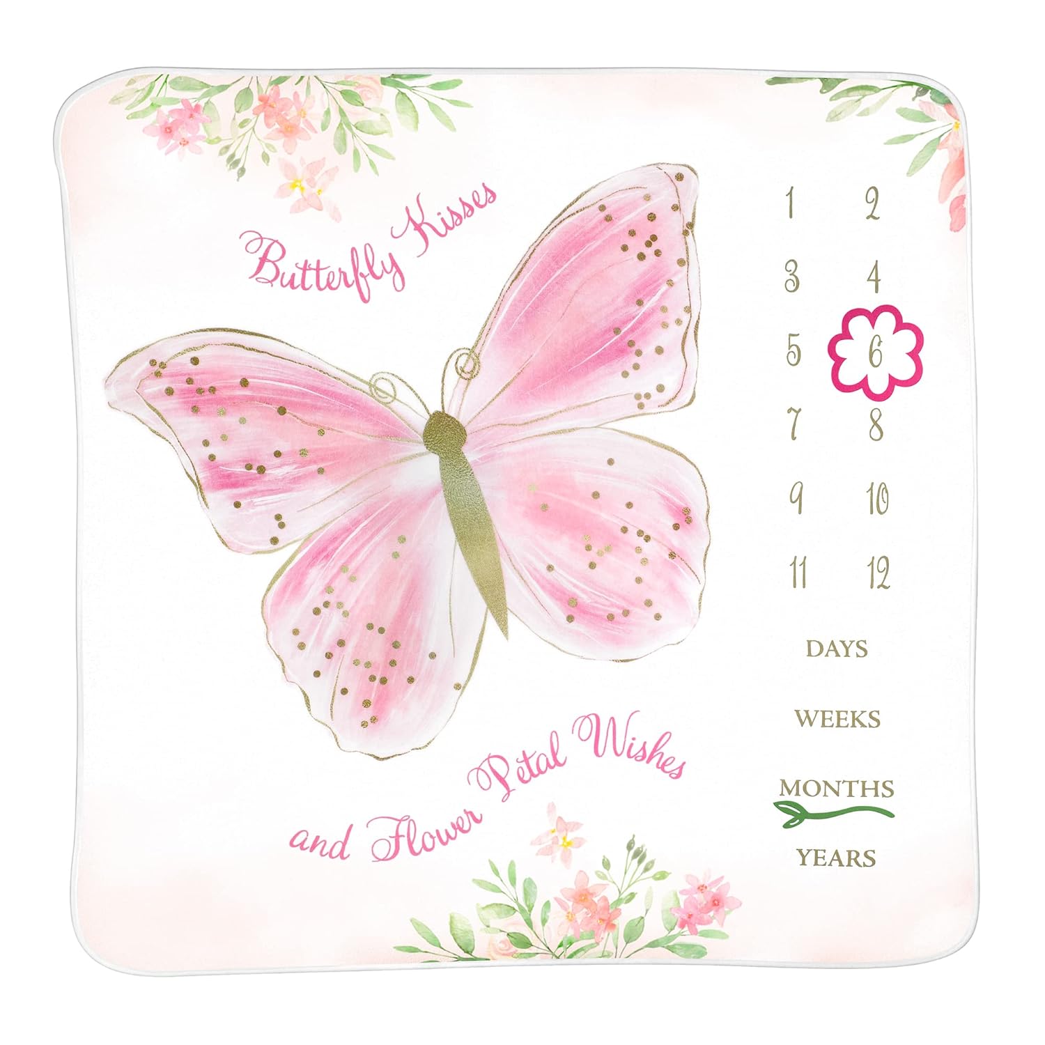 Lillian Rose Butterfly Milestone Blanket Pink 1