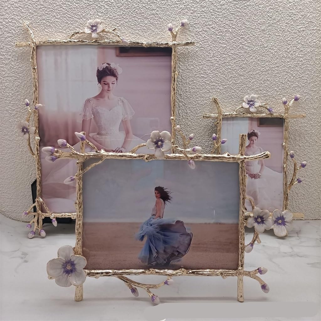 STBTOO 6 Inch Metal Frame Home Decor Photo Decoration