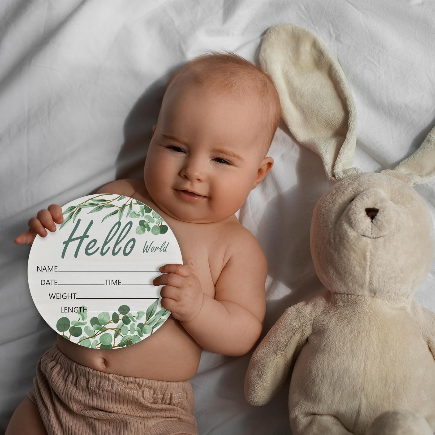 Hello World Olive Branch Newborn Sign - 6 Inch Round Birch Wood Baby Name Plaque