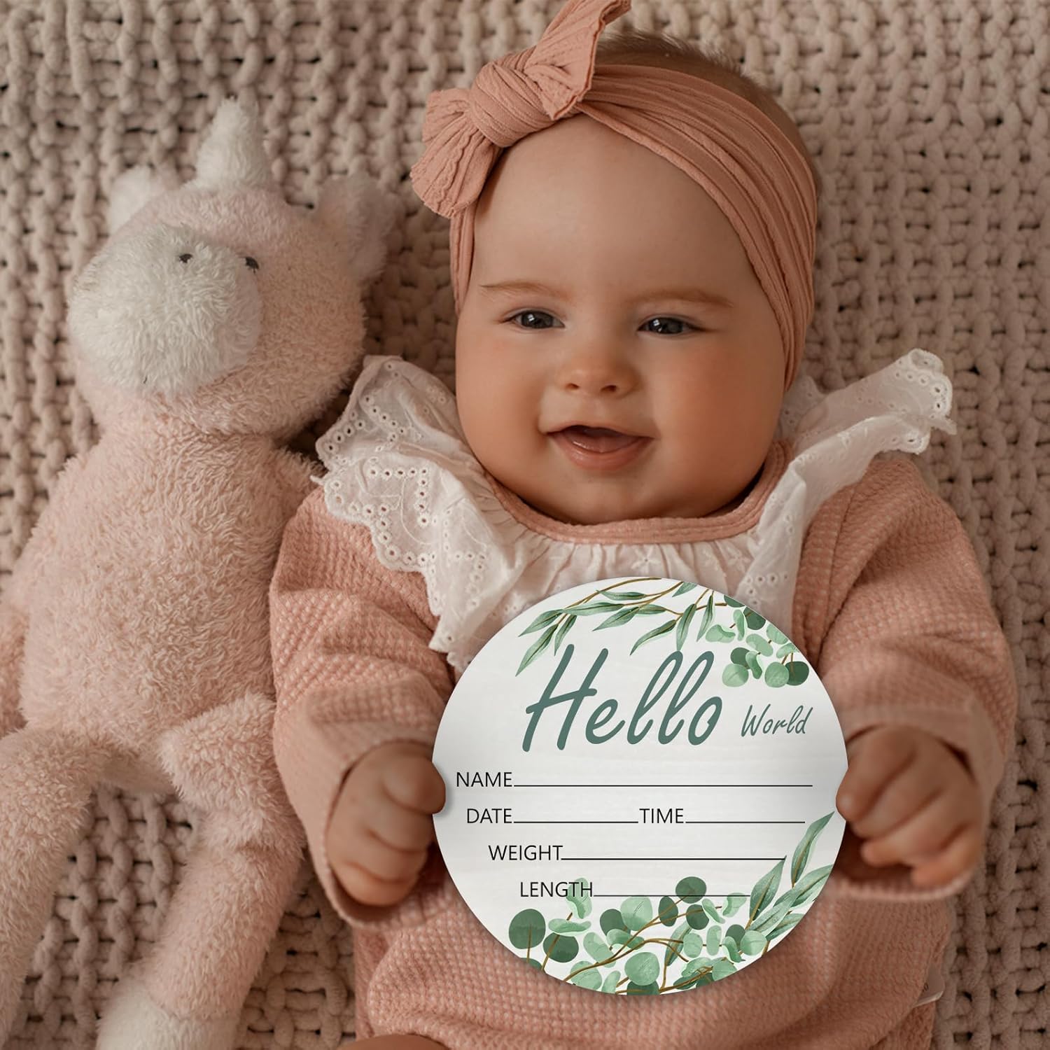 Hello World Olive Branch Newborn Sign - 6 Inch Round Birch Wood Baby Name Plaque