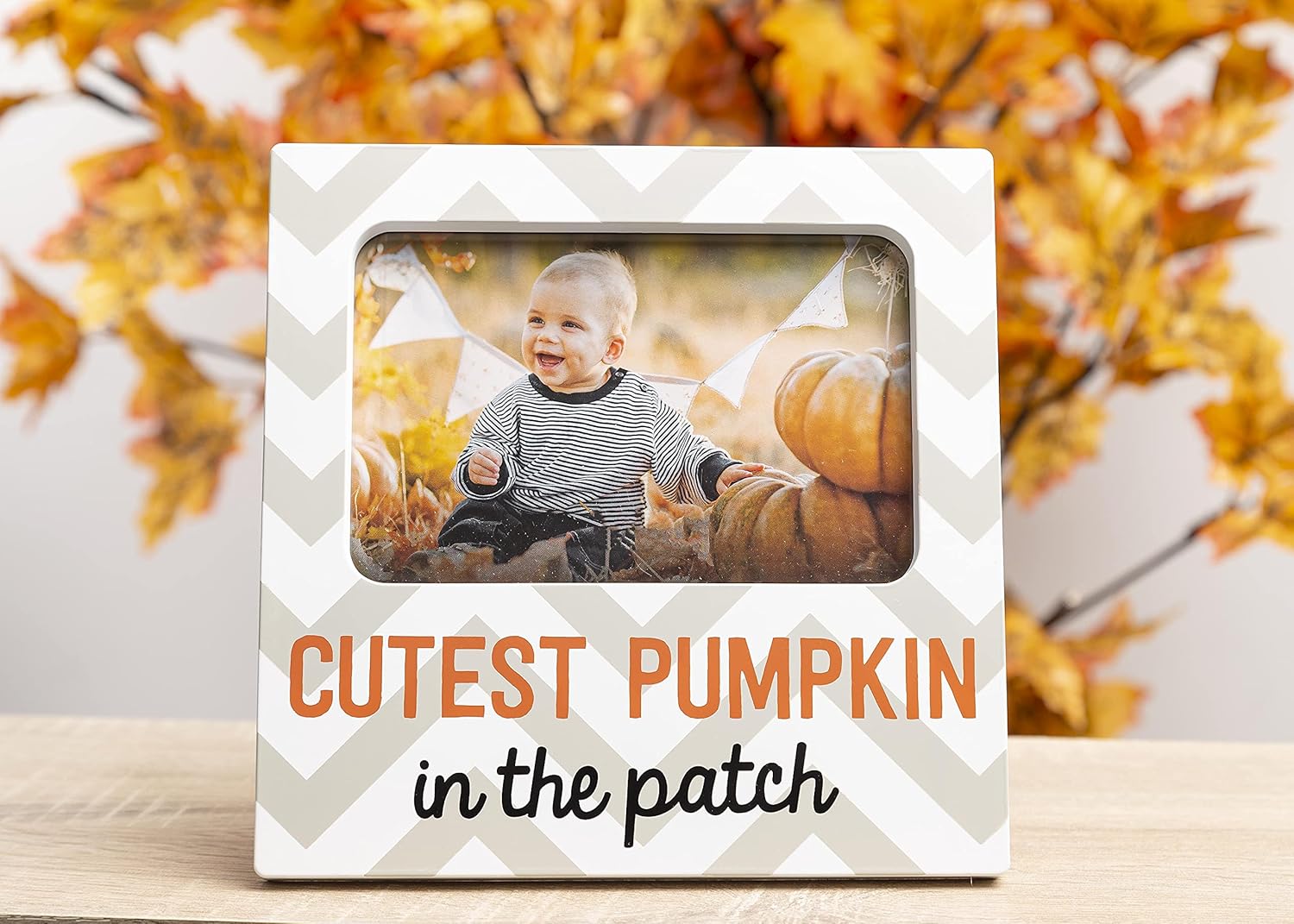 Kate Milo Baby Halloween Photo Frame Set