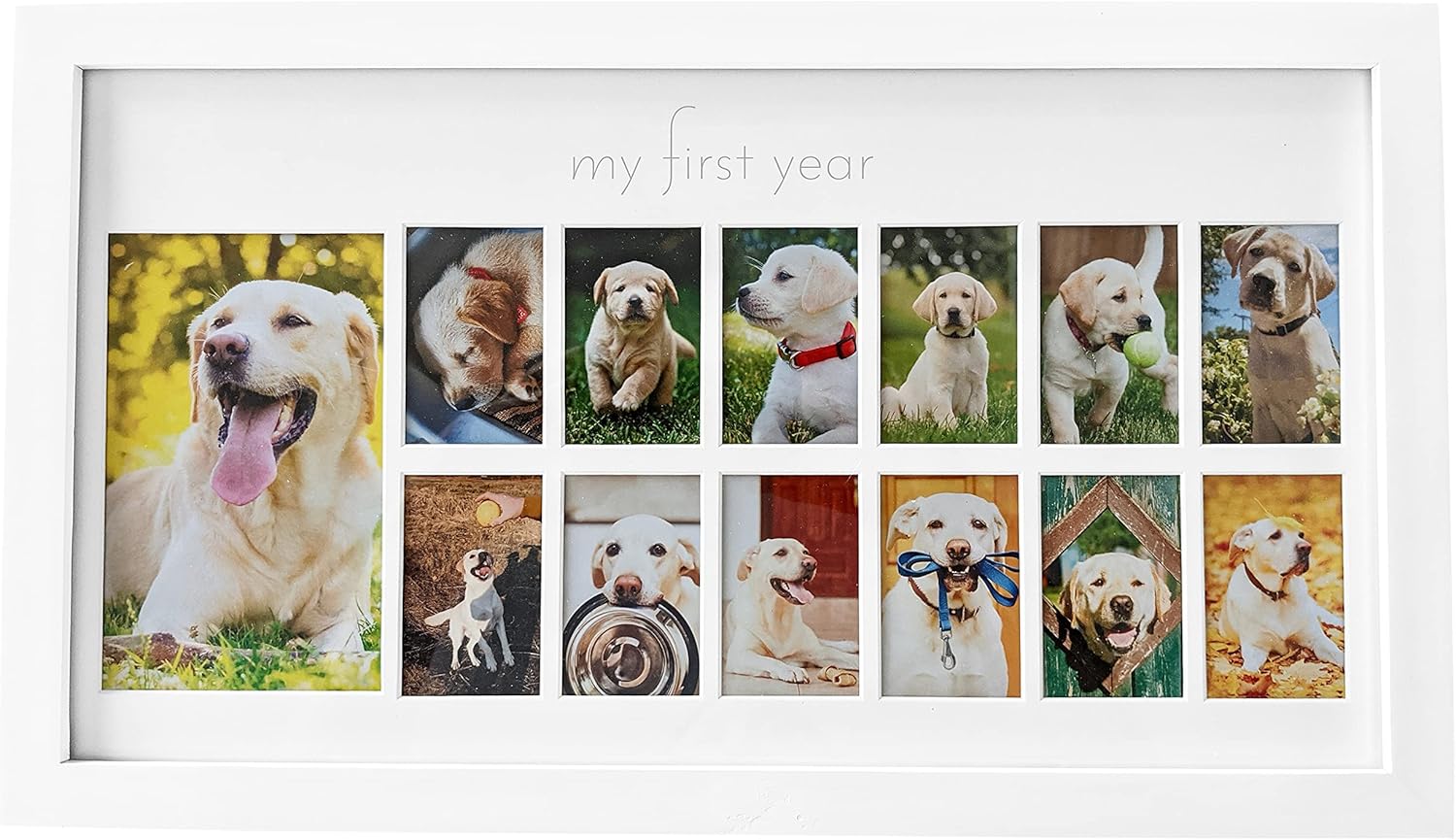 Green Pollywog First Year Dog Photo Frame 12-Month Keepsake Display White Wood Frame