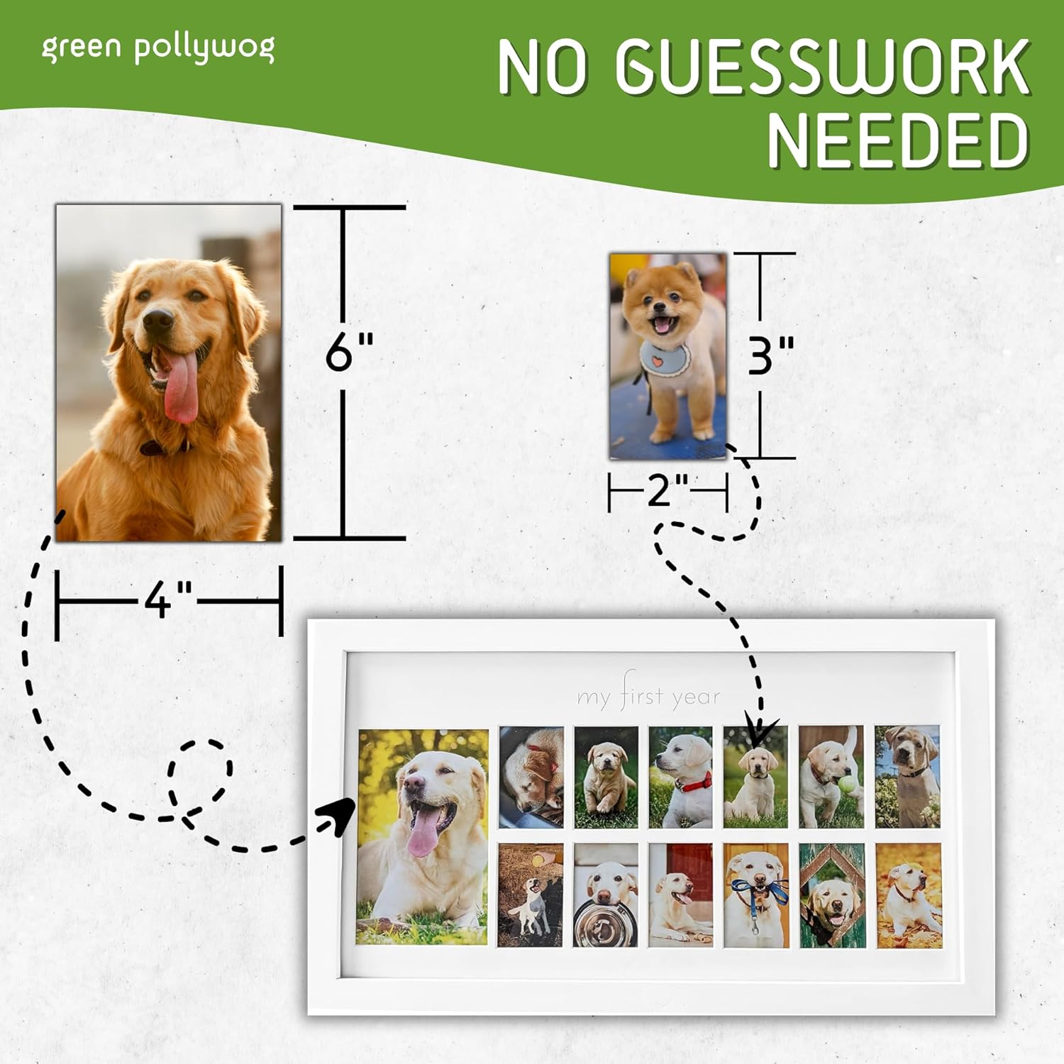 Green Pollywog First Year Dog Photo Frame 12-Month Keepsake Display White Wood Frame