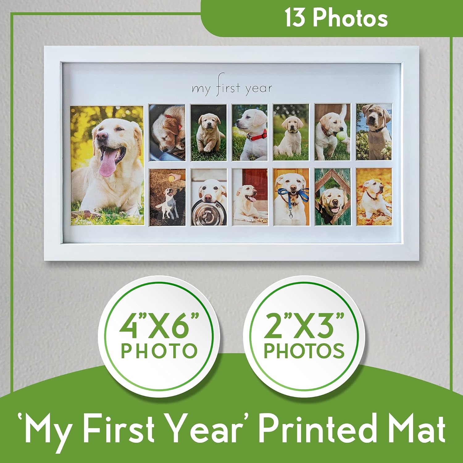 Green Pollywog First Year Dog Photo Frame 12-Month Keepsake Display White Wood Frame