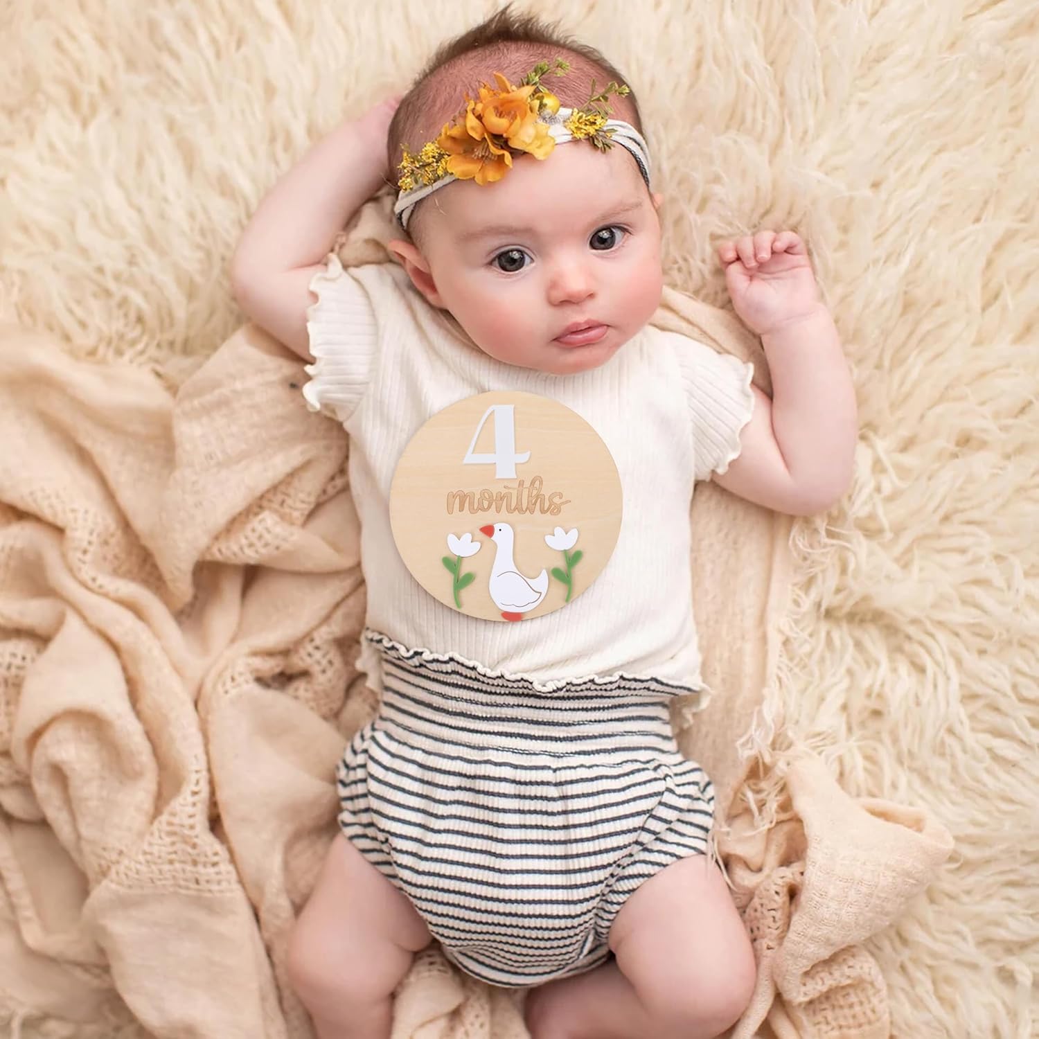 LINLULU Funny Goose Monthly Milestone Board 1