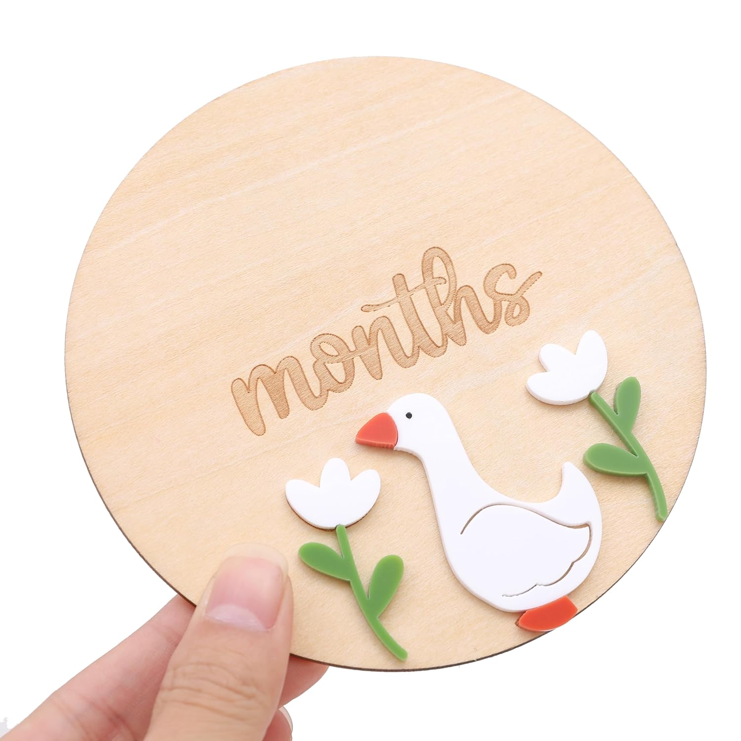 LINLULU Funny Goose Monthly Milestone Board 1
