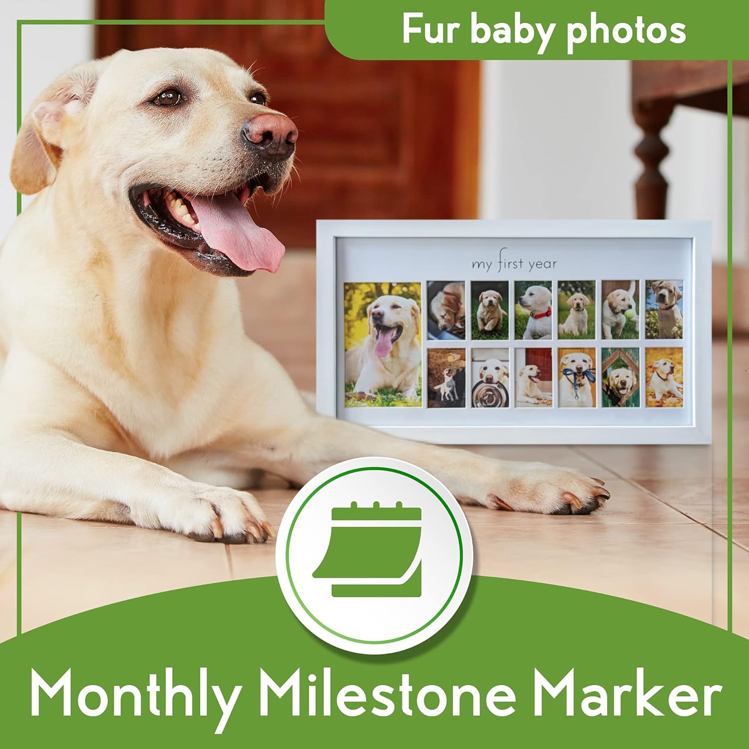 Green Pollywog First Year Dog Photo Frame 12-Month Keepsake Display White Wood Frame