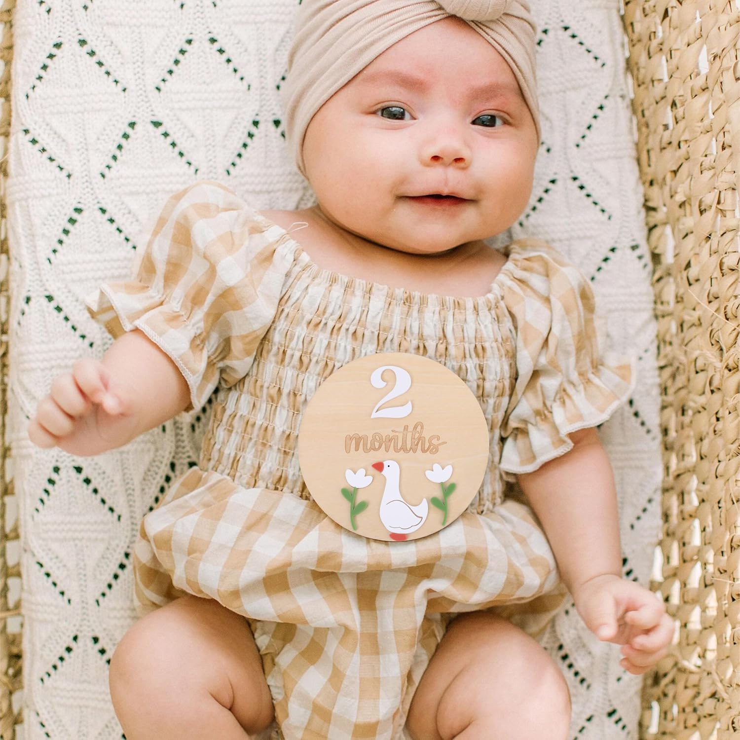 LINLULU Funny Goose Monthly Milestone Board 1