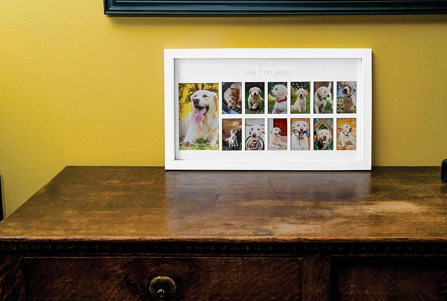 Green Pollywog First Year Dog Photo Frame 12-Month Keepsake Display White Wood Frame